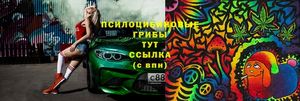 шишки Кукмор