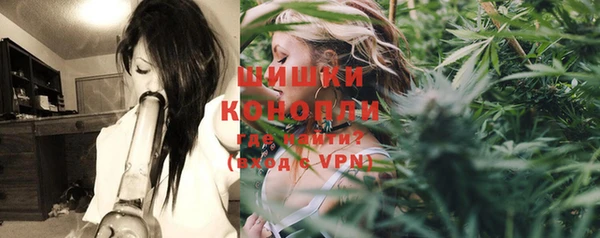 шишки Кукмор